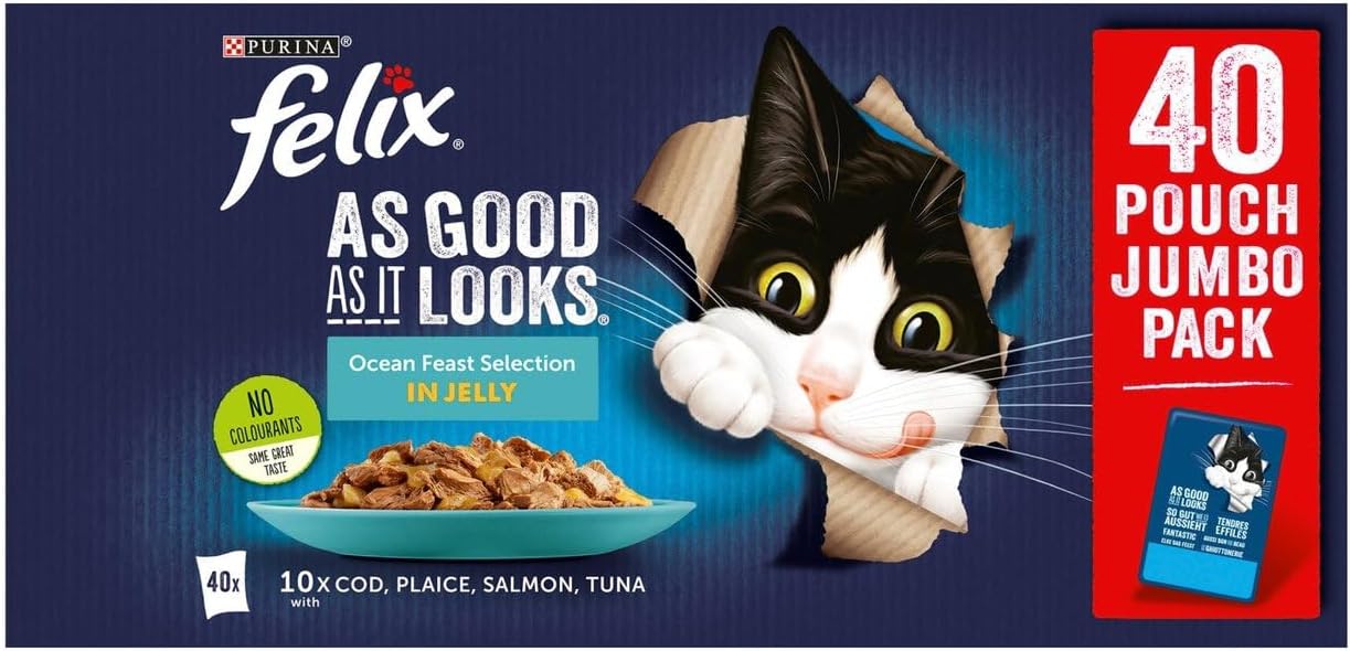 🐱 FELIX As Good As It Looks Ocean Feasts – 40 x 100g Pouches