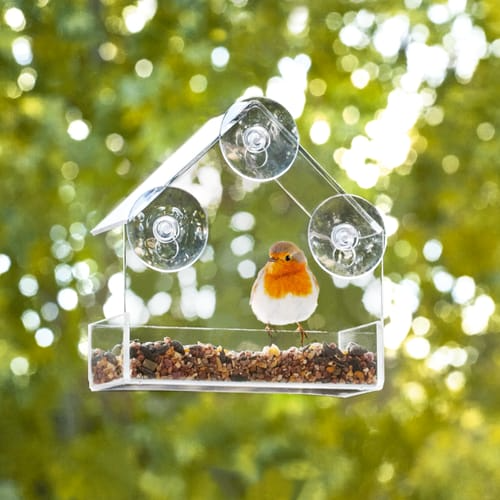 Jardin Window Bird Feeder